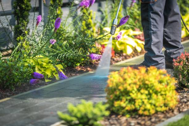 Best Pre-Holiday Cleaning  in Forest Ranch, CA
